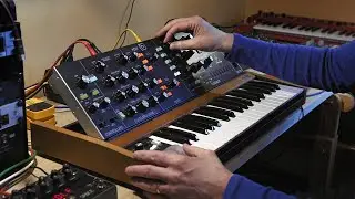 Behringer Poly D Filtersweep