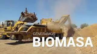 Green Biomass