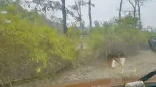 Banbasa Jungle Ride Uttarakhand