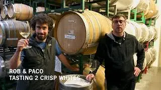October 2025 Update: Harvesting Cabernet Sauvignon, Designing Labels & Tasting Sauv Blanc & Albari&ntilde;o