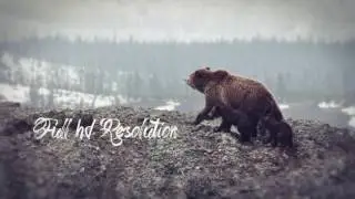 SlideShow Dream - After Effects Project Files | VideoHive 15519274