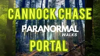 Did I catch a portal opening? In the dark forest 🌲