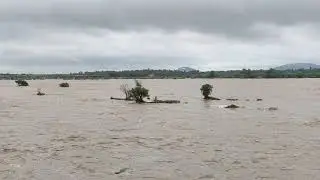 paalar river 2021 Nov