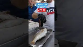 700 GR TEK SİNARİT 420 TL DEN ALICI BULDU. #balıkmezatı #&ccedil;ipura #levrek #sinarit