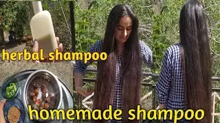 Homemade Natural Shampoo ||herbal shampoo