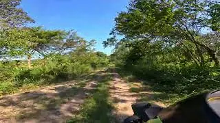 Gopro hero 12 black