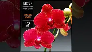 Shawn Forrest - A Precious Memory (Original Mix)