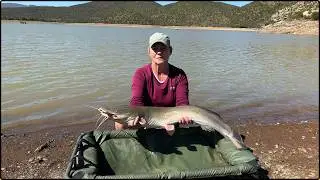Carp Fishing & Camping at Stompdrif Dam [Video 29]
