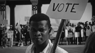 Freedom Summer Summary