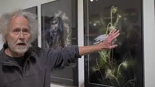 Why do Focus Stacking? Dr. James E. Shirey