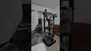 Кто желает мне помочь .Наш PayPalesterizabella1@gmail.com