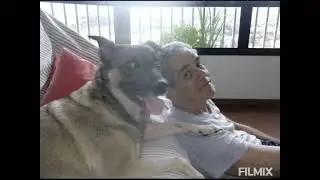 Chokita, filha do meu coração 