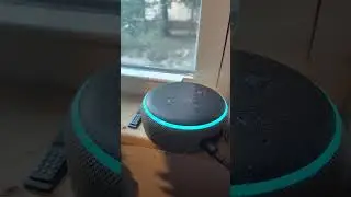 why is this so funny it's an Alexa alarm automatic sound 🤣 #fyp #alexa #alarm #hotteltranslvania
