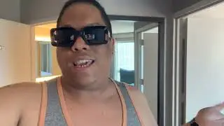Chicago Vlog (Work Trip)