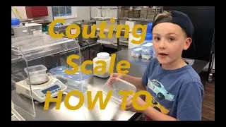 Counting Scale HOWTO