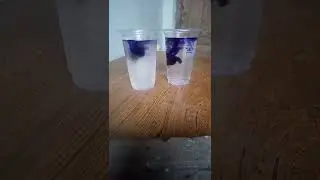 water reaction vs ujala Neel mix experiment viral video#youtubeshorts #shorts #experiment