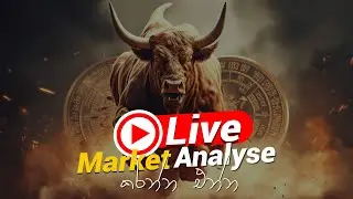 Trading වලින් හරියට Profit කරන හැටි | OpenI Live Trading Session