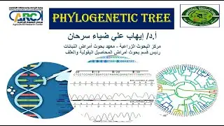 محاضرة استاذ دكتور ايهاب سرحان عن Multiple Sequence Alignment and Phylogenetic tree