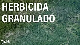 &iexcl;MANTENGA Las Malezas Lejos de Sus Instalaciones Para Siempre!