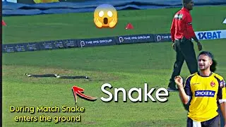 😱During the match Snake comes in the ground|In the LPL match snake enters the ground| Cricket Update
