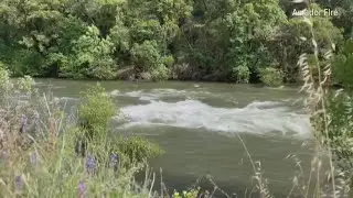 Woman lucky to be alive after being stranded in river in Amador County