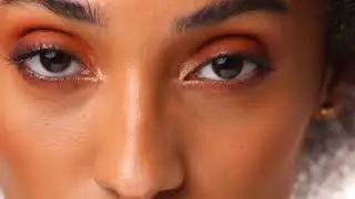 Introducing The Showstopper Eyeshadow Palette by Praush Beauty