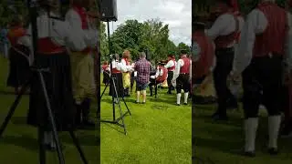 Swedish Midsummer Celebration