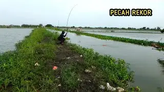 REZEKI SAYA DAN PEMANCING INI,, MANCING IKAN MAS DISINI DAPAT IKAN MAS BABON BABON SEMUA 