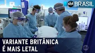 Variante britânica do coronavírus é mais letal, diz estudo | SBT Brasil (10/03/21)