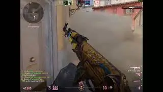 ace ak