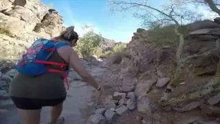 Phoenix Summit Challenge PHX4