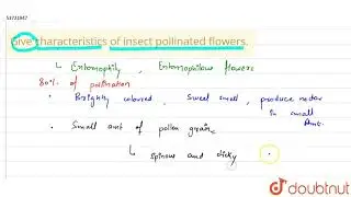 Give characteristics of insect pollinated flowers. | 12 | SEXUAL REPRODUCTION IN FLOWERING PLANT...
