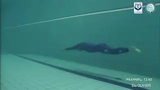 Olivier Elu 189,65 Gold Medal DNF M WR WC2016 Apnea Freedive WORLD RECORD