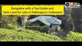 Bungalow with a Tea Estate and Gem Land for sale in Rathnapura | Kalawana Sri lanka