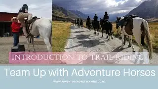 Introduction to Trail Riding_Adventure Horse Trekking NZ