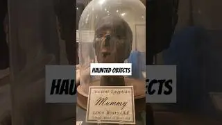 REAL❗️SCARY MUSEUM Artifacts #scary #haunted #shorts