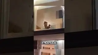 Personas atrapadas en video