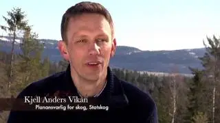 Geoskog - prognoseverkt&oslash;y for planlegging av skogsdrift