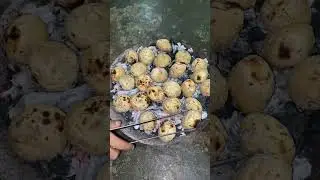Litti chokha | indian street food #shorts #streetfood #bihar