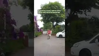 Dog Vs Amazon Delivery Driver 😂