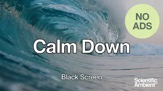 Tired of the Hustle and Bustle? Use Scientific Ocean Waves to Calm Down | 10 Hours