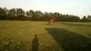 heimo.wmv