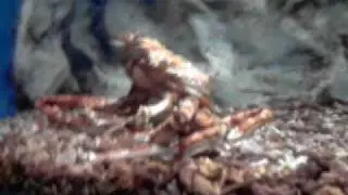 V281009 16 10