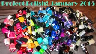 Project Polish! January 2015