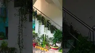 Home entrance decoration ideas👩&zwj;🌾🪴🌸🌱 #home​ #entrancedecor​  #gardening​ #shorts​ #youtubeshorts​