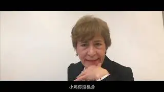 Vajda Péter Evangélikus Gimnázium 12.B Kampányfilm - 2019