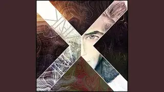 Galactia X