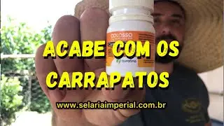 Como ACABAR com CARRAPATO de seu CAVALO - Selaria Imperial