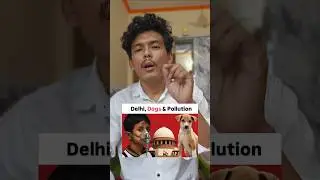 Delhi, Dogs & Pollution😡