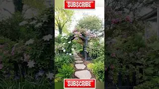 Multi colour flower🌺 केसा लगा ये idea💡मुजे बताना ! #shorts #gardening @garden_with_bihari